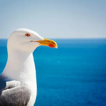 Hébergement de vacances Casa Paraiso *